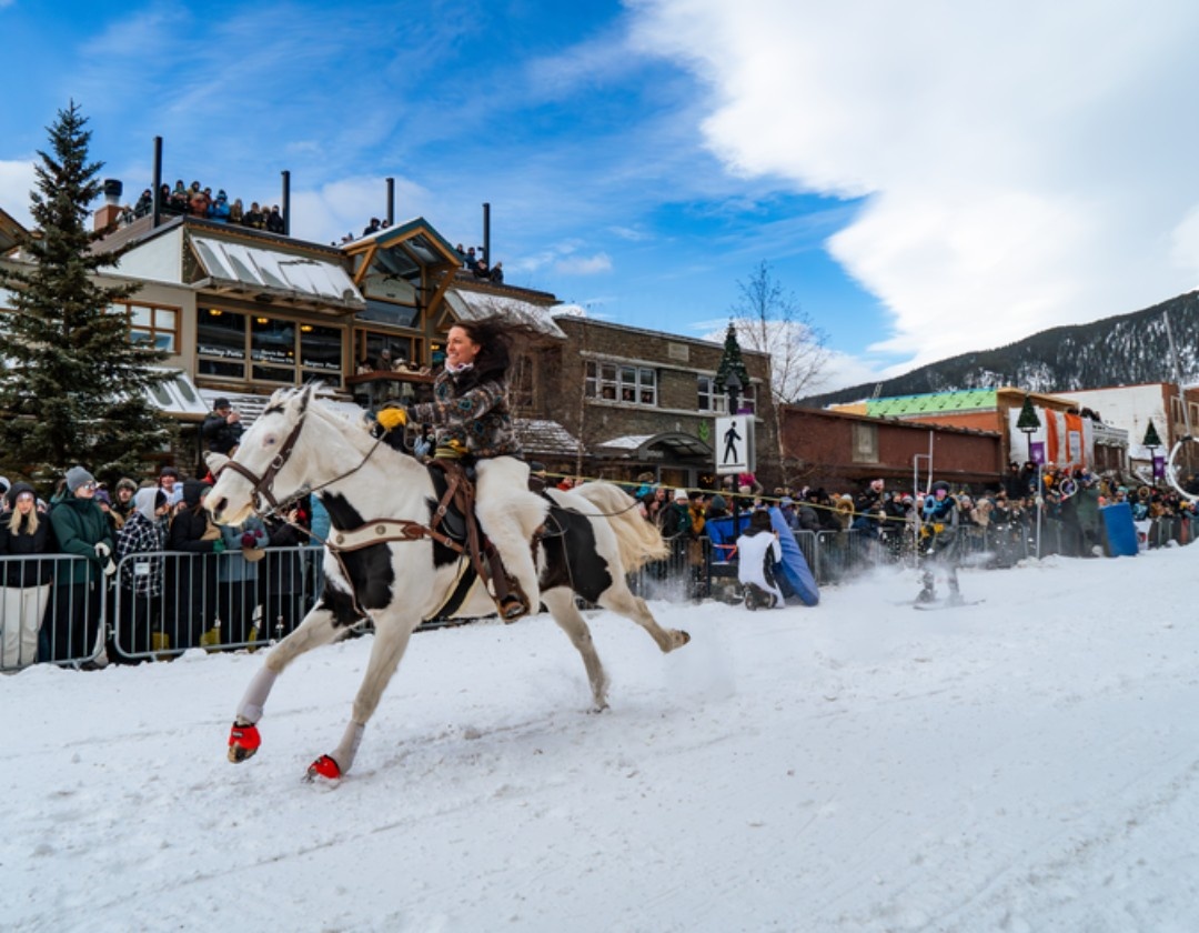 SnowDays Festival in Canmore: Adventure Awaits with Elk and Owl