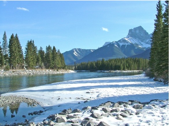 Springtime Bliss in Canmore